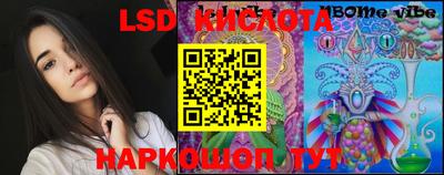 индика Кингисепп