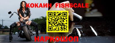 индика Кингисепп