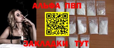 индика Кингисепп