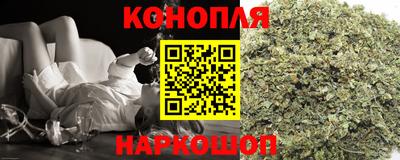 индика Кингисепп