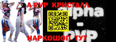 индика Кингисепп