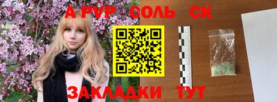 индика Кингисепп