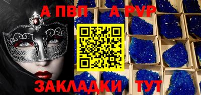 индика Кингисепп