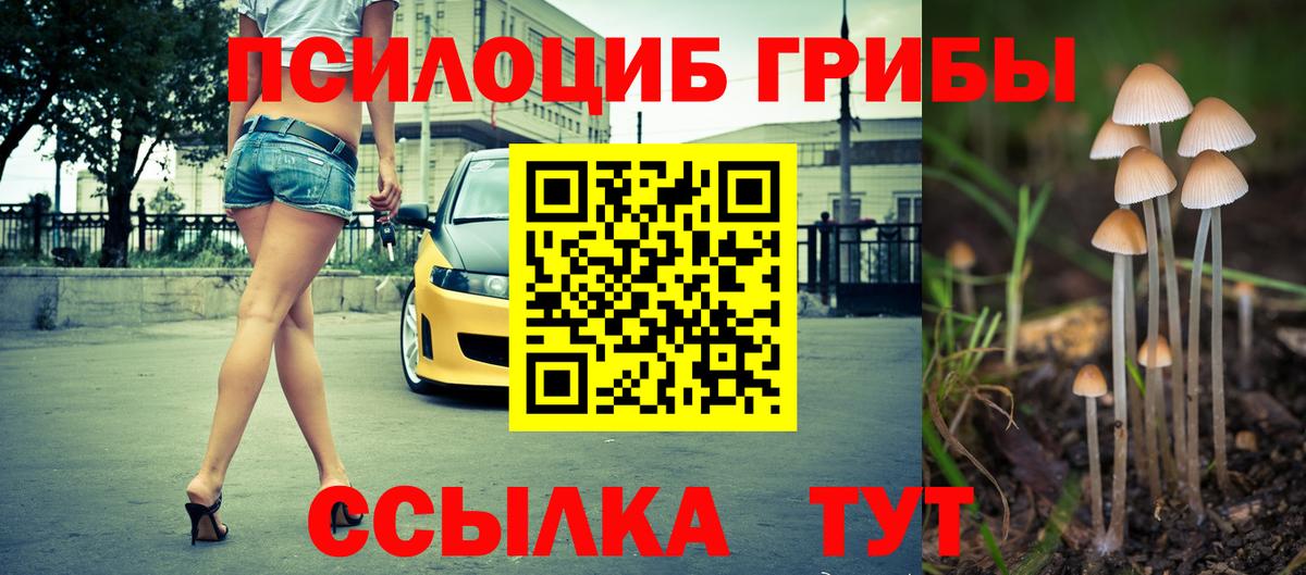 Псилоцибиновые грибы Cubensis Кудрово