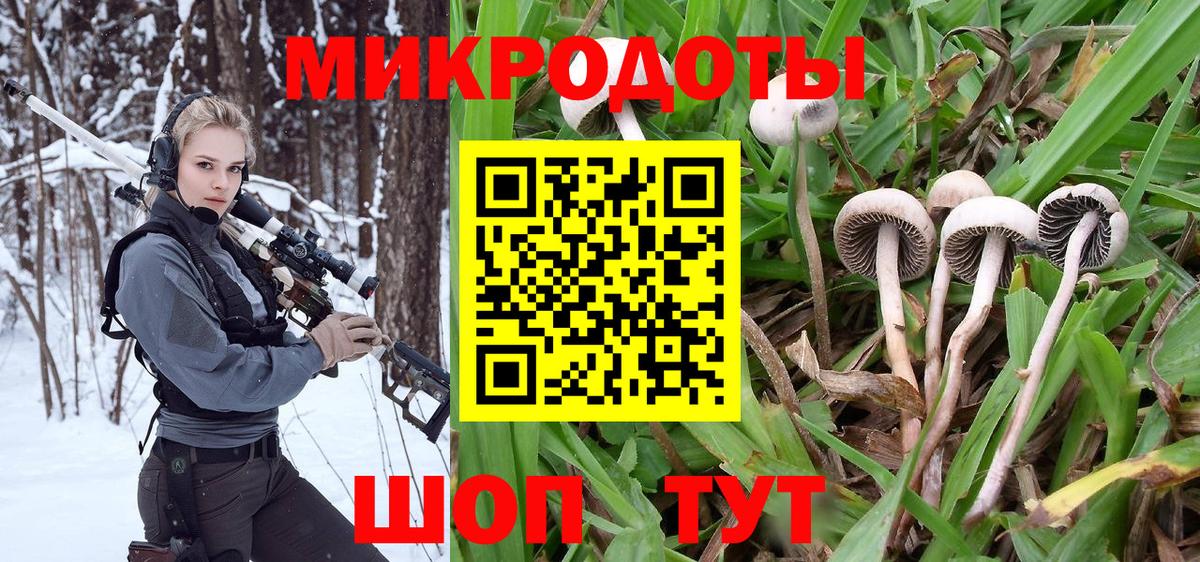 Псилоцибиновые грибы Psilocybine cubensis  Вход с VPN  Кудрово  Галлюциногенные грибы Psilocybine cubensis 